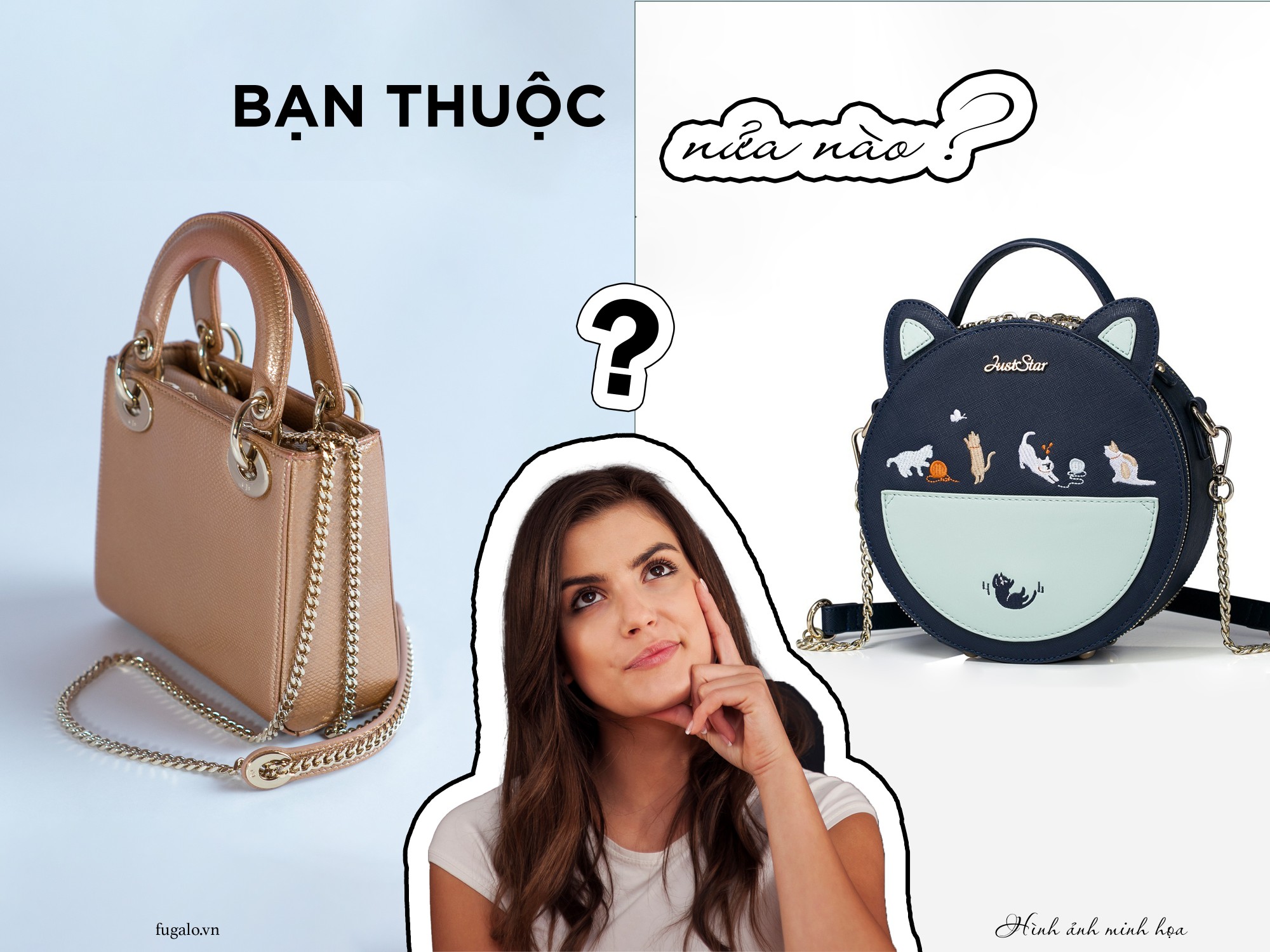 Hình Dáng Túi Phản Ánh Não Trái Hay Não Phải?