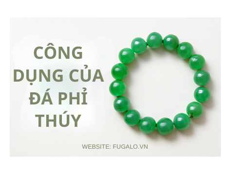 CÔNG DỤNG CỦA PHỈ THÚY