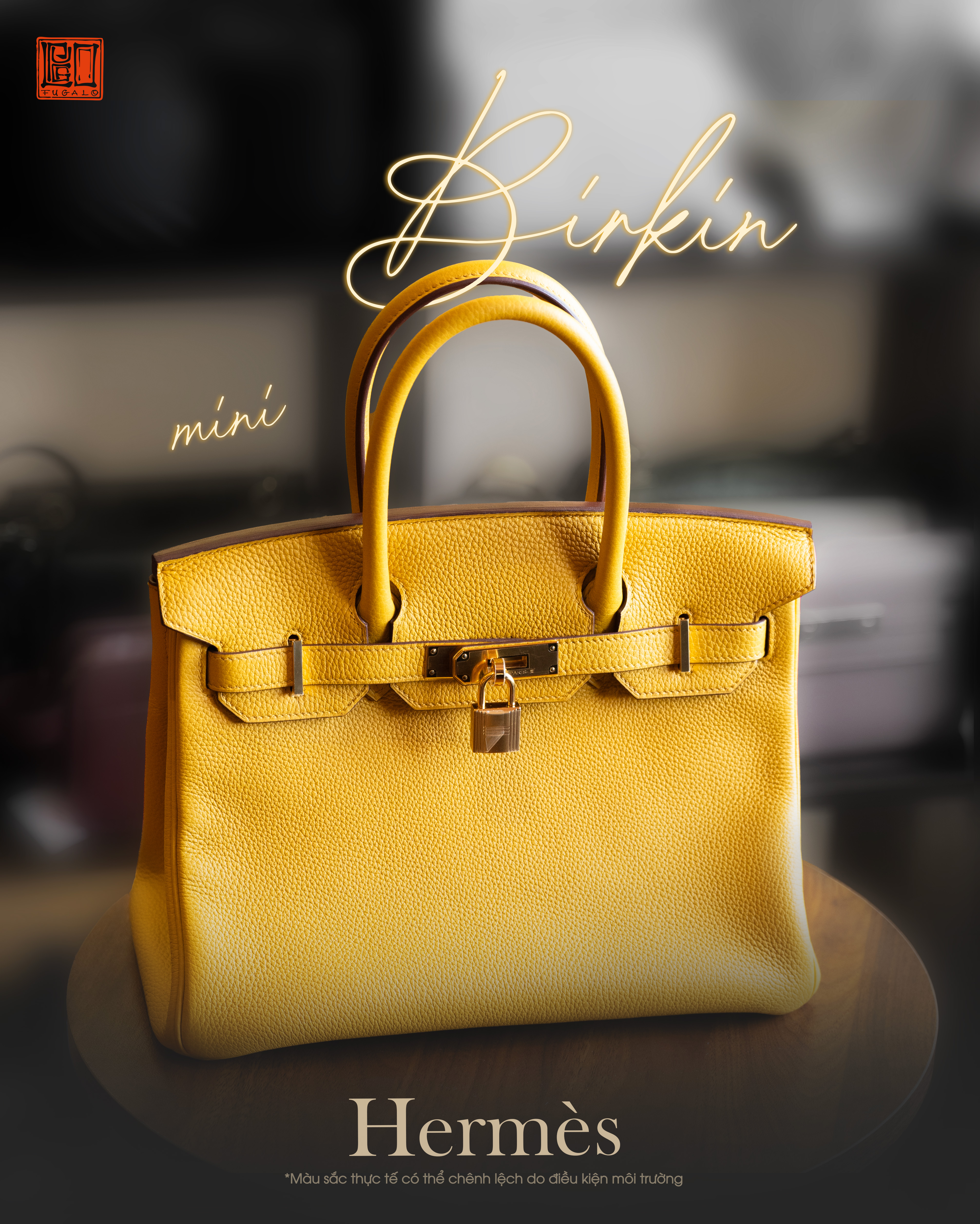Hermès Birkin