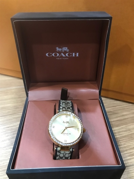 Đồng hồ Coach dây da rắn+
