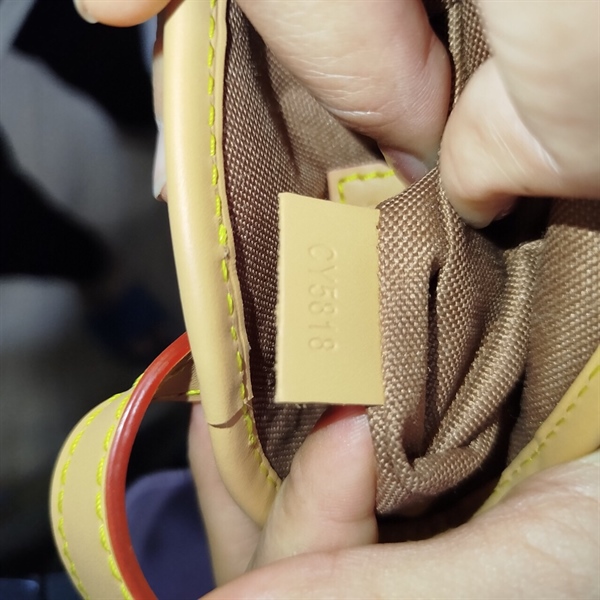 Túi LV Đứng Hoa Nâu+