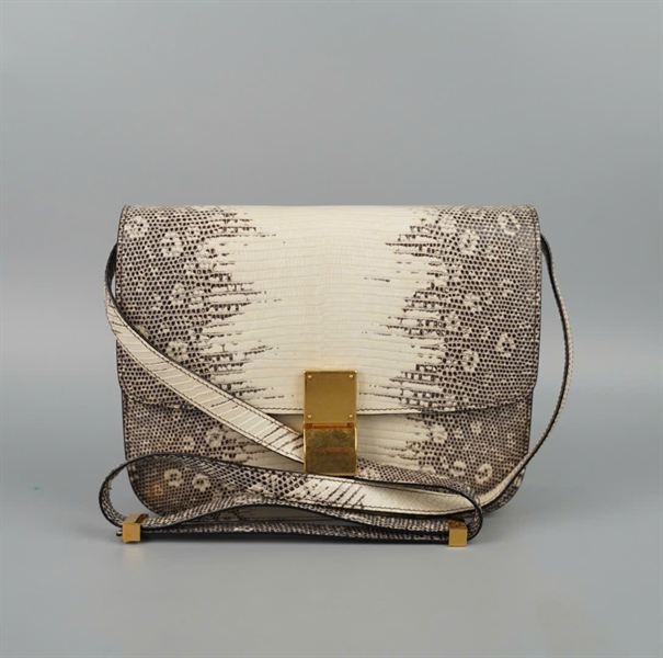 Túi Celine Lizard da trăn (S-LA-4136) sz23 (BMC) KG+