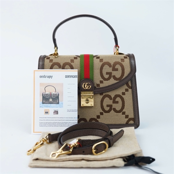 Túi GG Ophidia nâu (E037740066) sz25 +