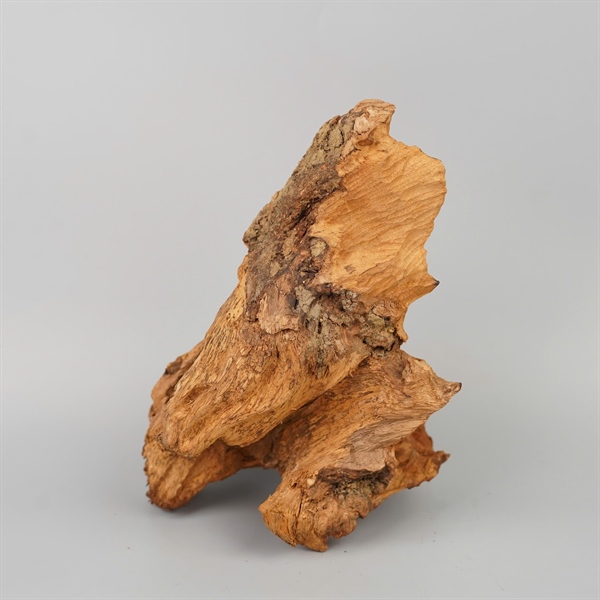 Trầm Bồ Tát +