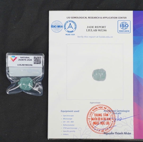 Cụ heo 985246 KG+