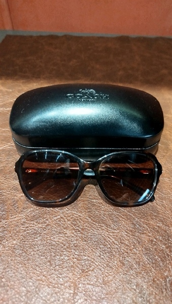 Kính râm Coach gọng màu nâu KG+