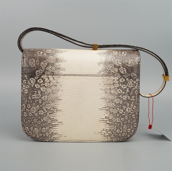 Túi Celine Lizard da trăn (W-CE-3108) sz23 KG+