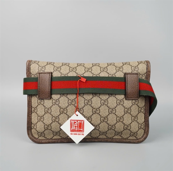 Túi GG bumbag ̣493930204991 sz24 KG+