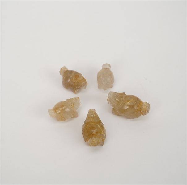 Cụ Long quy tóc vàng KG+