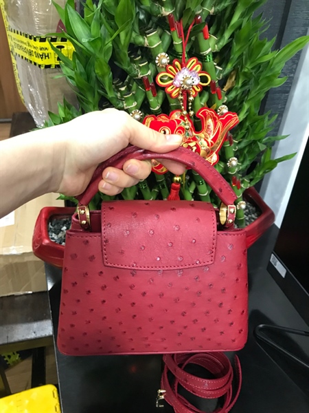 Túi LV Cá Sấu Đỏ KG+