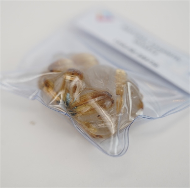 Mặt dây dơi ngũ phúc 299756 KG+