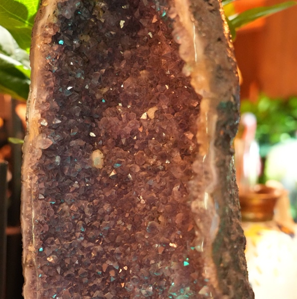 Hốc thạch anh tím to KG+